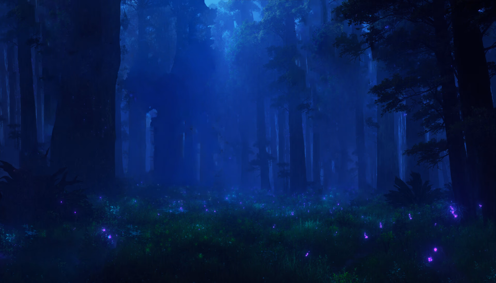 night forest